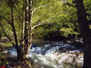 Ferreria de Rugando-Quiroga, Lugo. La Ruta de la miel